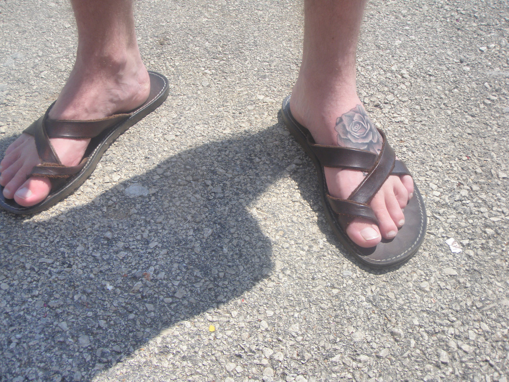 This image is hosted by is-the.biz!